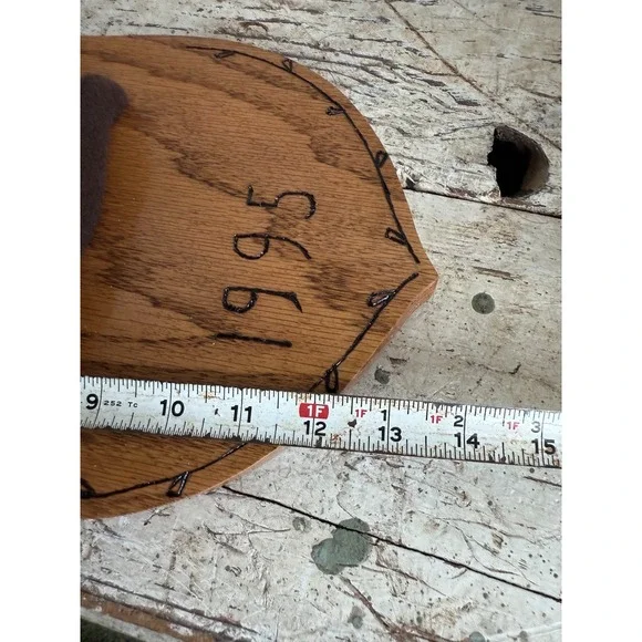 8 Point Whitetail Deer Antler Rack on Oak Plaque Rustic Michigan Mount 20" Wide - Picture 12 of 16